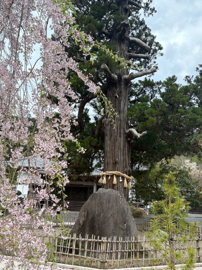 箱泉寺,宮城県石巻市北村神尾48