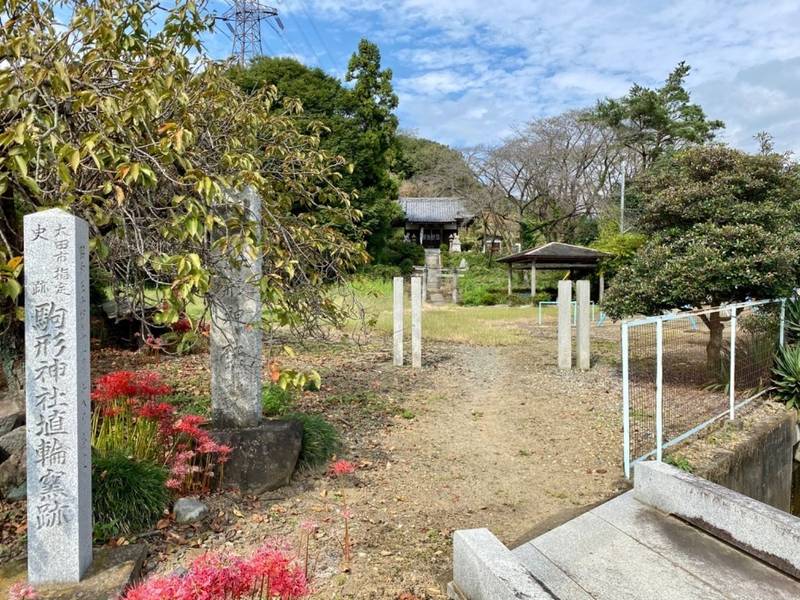 駒形神社,群馬県太田市北金井町402