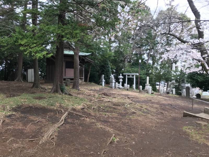 金刀比羅神社・八阪神社,神奈川県横浜市緑区長津田町2330
