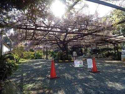 林泉寺,見どころ,すっとびの韋駄天