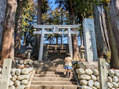 大宮神社,見どころ,平沢凛
