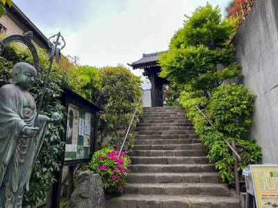 宝珠院,見どころ,ほし