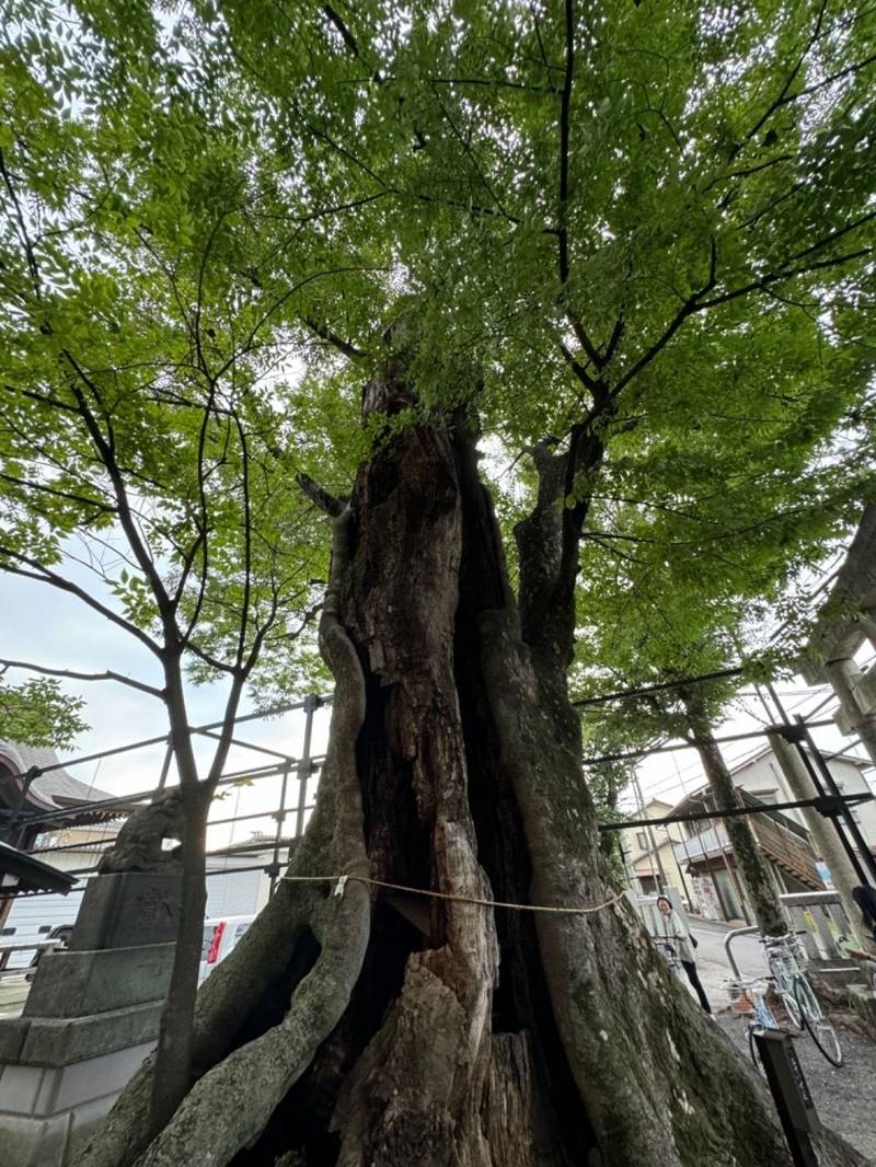 是政八幡神社,東京都府中市是政３丁目７−１