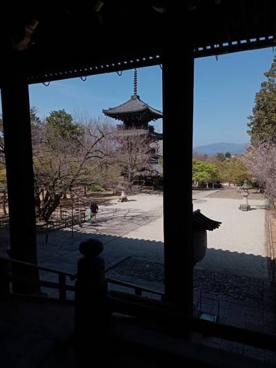 真正極楽寺 (真如堂),見どころ,きつねうどんのきつね