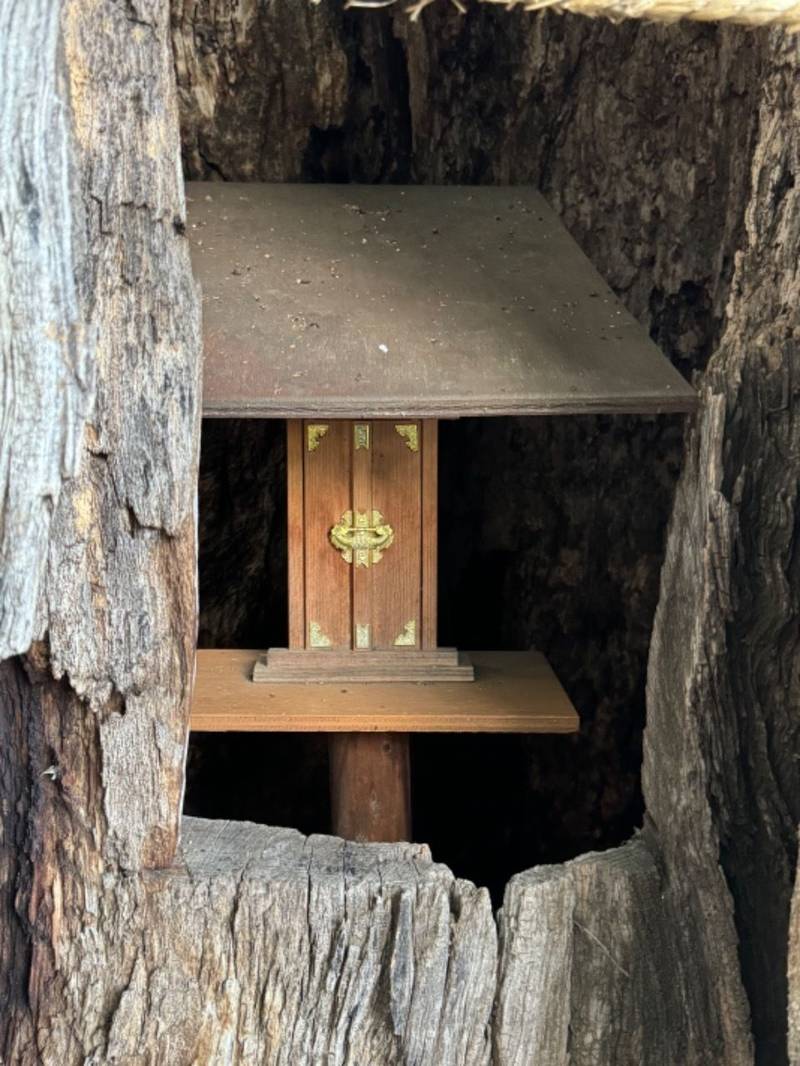 是政八幡神社,東京都府中市是政３丁目７−１