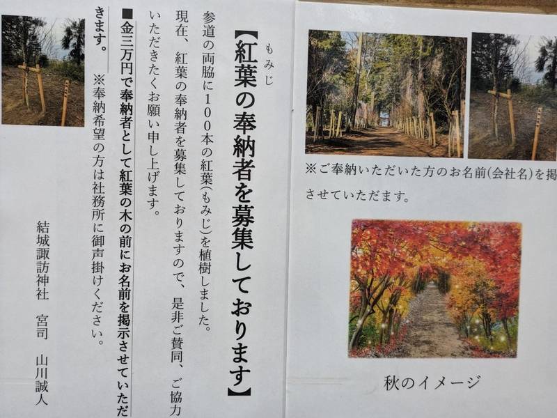結城諏訪神社,茨城県結城市大字上山川161-1