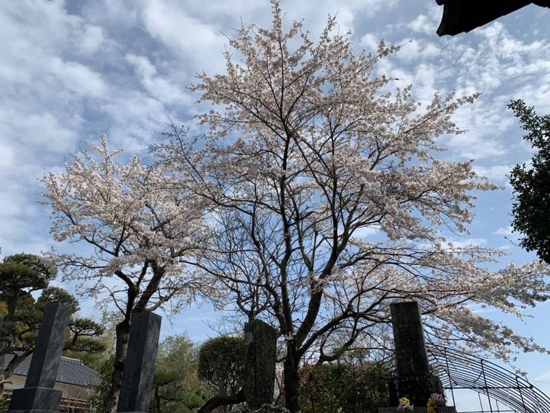 光明寺,福島県いわき市四倉町狐塚八合48