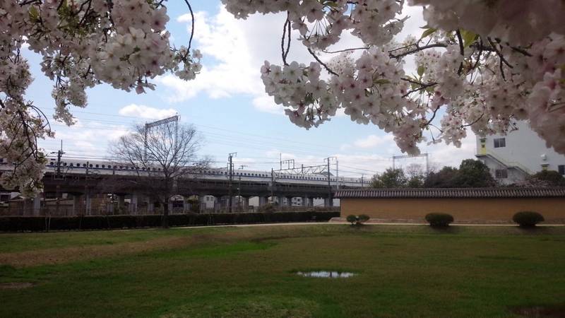 播磨国分寺