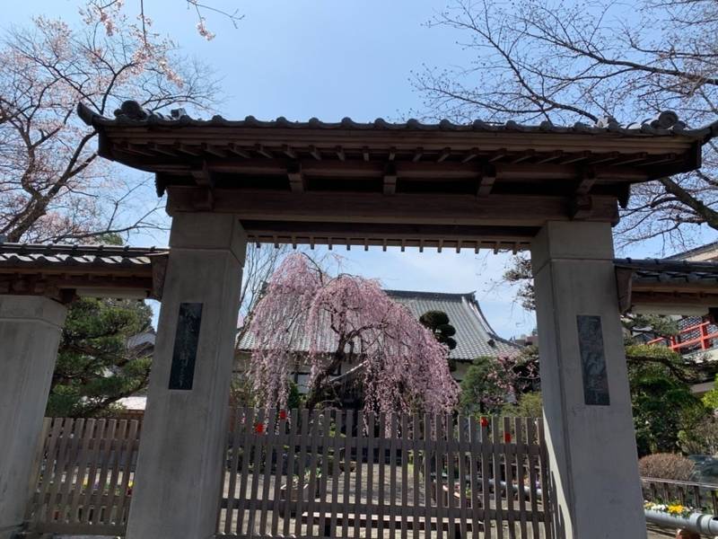 昌傳庵の見どころ