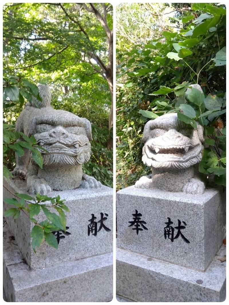 琴平神社,長崎県西海市大瀬戸町瀬戸樫浦郷445-2