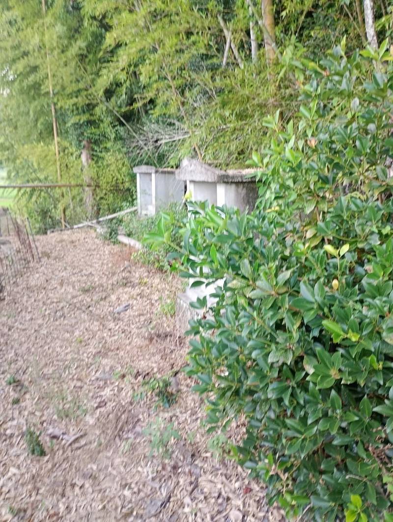 太祖神社,福岡県行橋市西谷2297