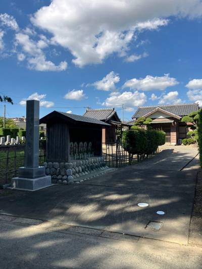 勝光寺,見どころ,メタモン