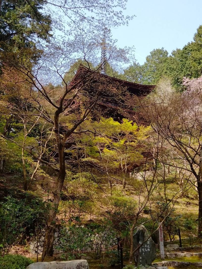 金剛輪寺,滋賀県愛知郡愛荘町松尾寺874