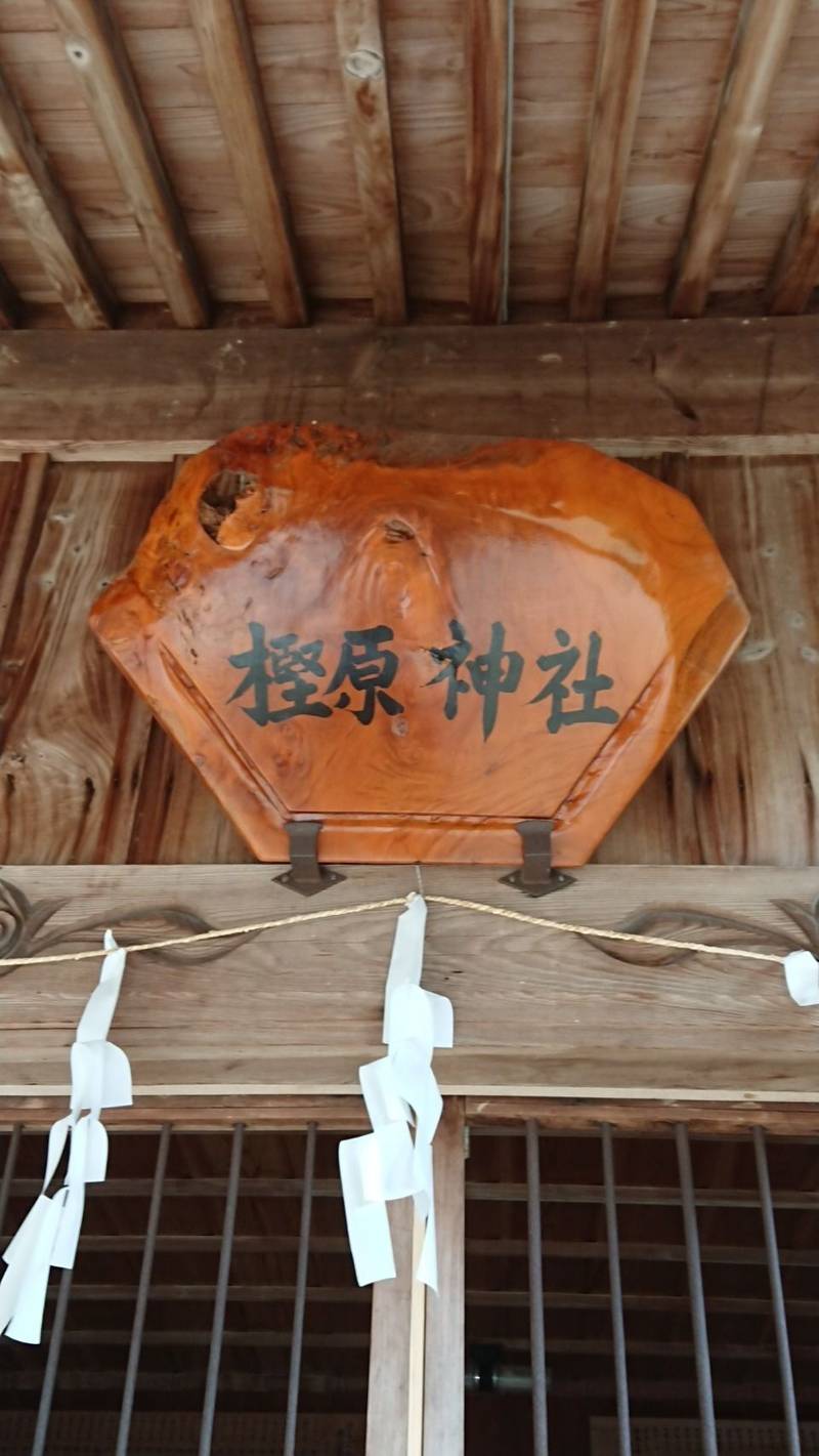 樫原神社,徳島県阿波市土成町土成山ノ本４１