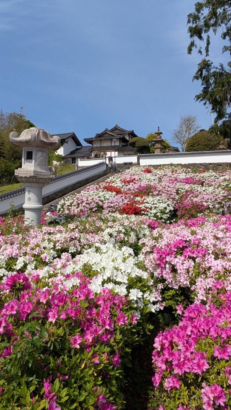 康國寺   (康国寺),島根県出雲市国富町1301