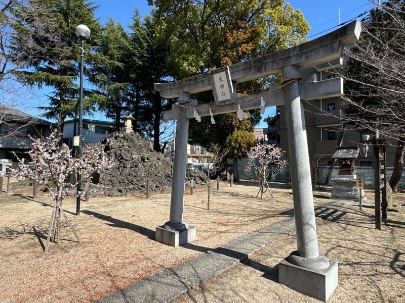 小御嶽神社     (瀬崎富士塚),埼玉県草加市瀬崎3-3-24　瀬崎浅間神社内