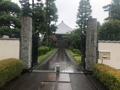 金相寺,見どころ,you