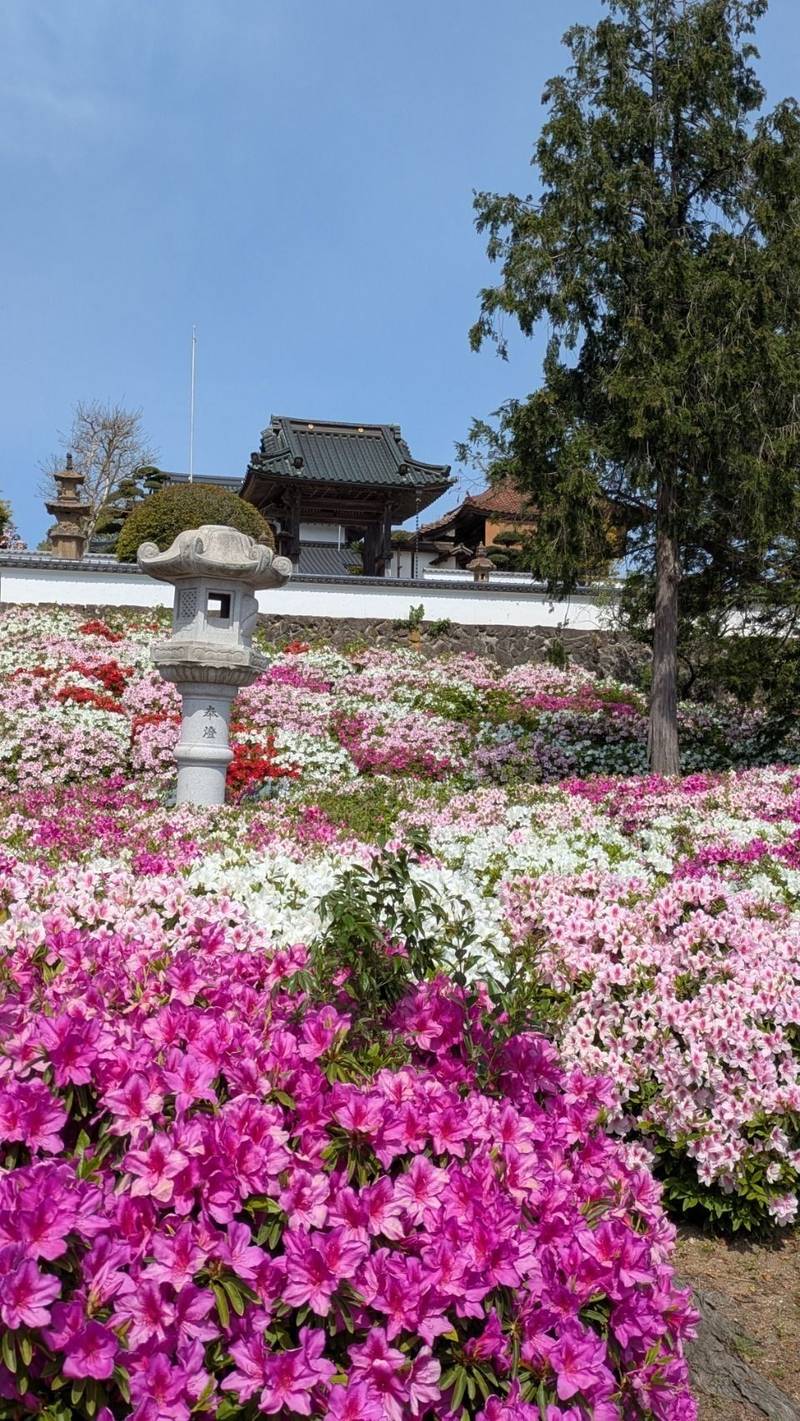 康國寺   (康国寺),島根県出雲市国富町1301