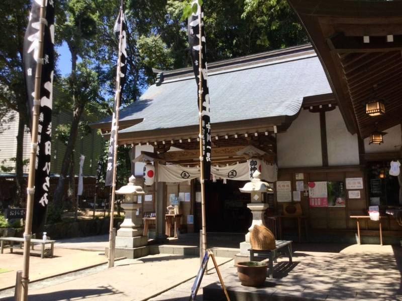 王子神社 猫神さん 見どころ 徳島市 徳島県 Omairi おまいり