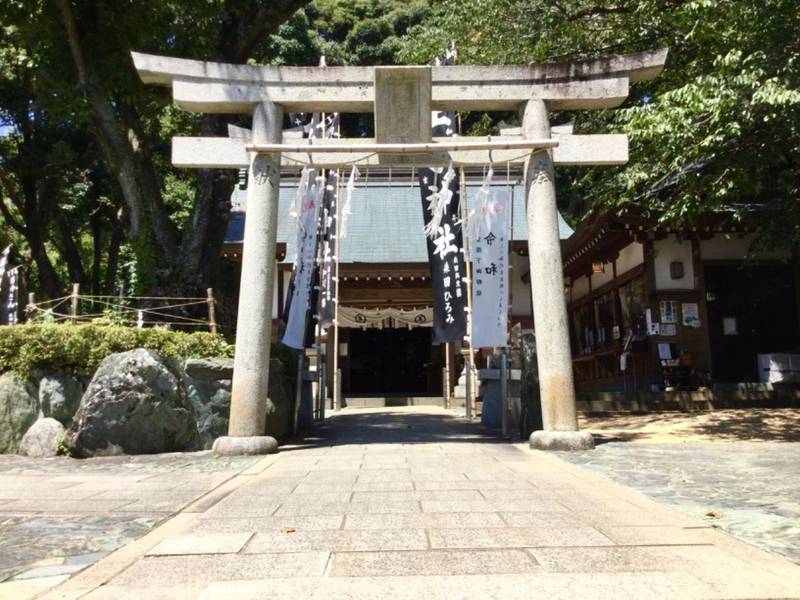 王子神社 猫神さん 見どころ 徳島市 徳島県 Omairi おまいり