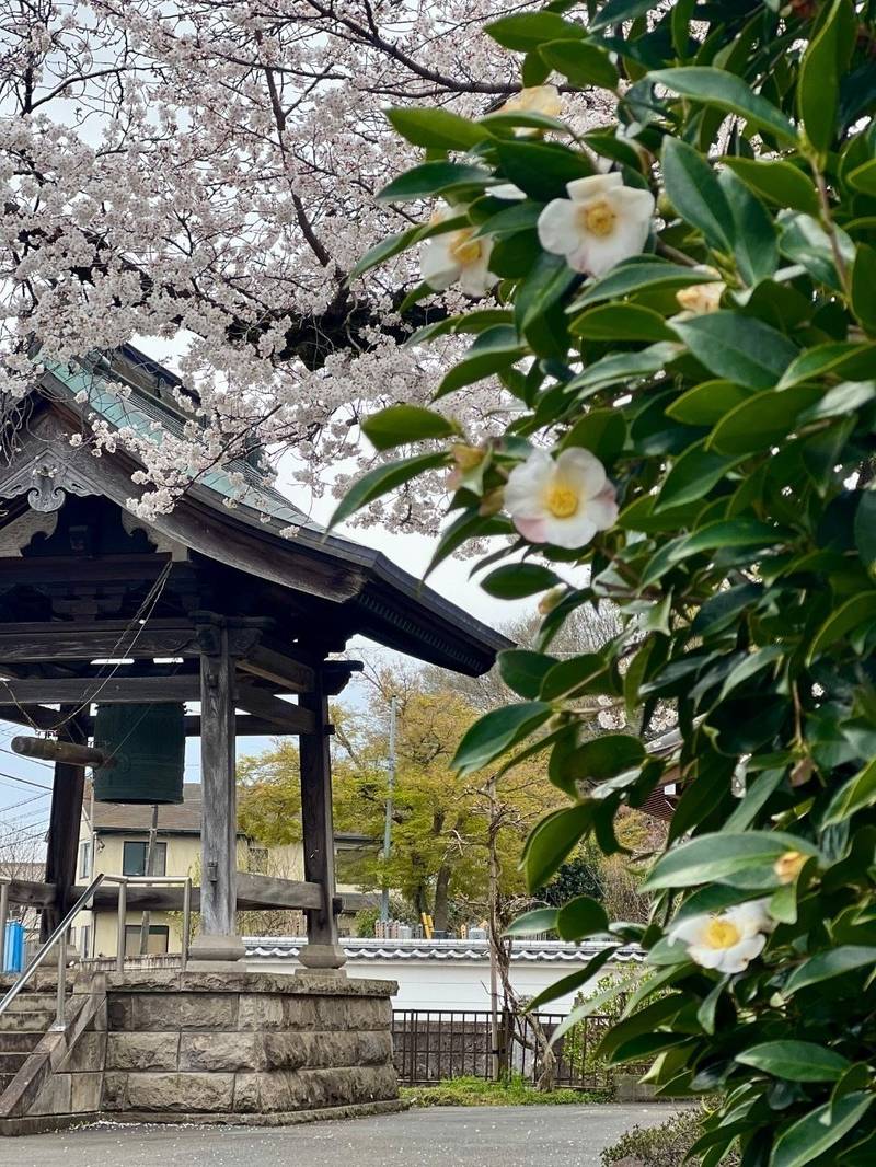 東福寺,埼玉県所沢市本郷７６４