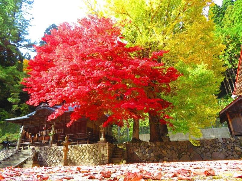 徳山神社 真庭市 岡山県 の見どころ 蒜山の紅葉時 By タッツン Omairi おまいり