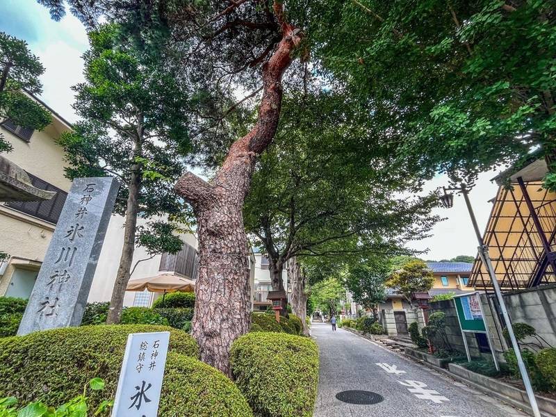 石神井氷川神社,東京都練馬区石神井台1丁目18-24