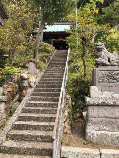 三嶋神社   (鎌倉),見どころ,you
