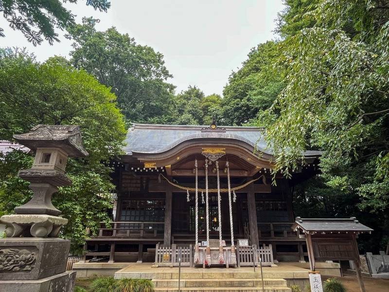 石神井氷川神社,東京都練馬区石神井台1丁目18-24