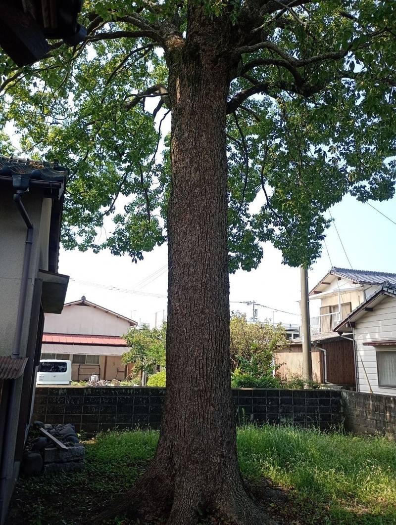 貴船神社   (上宮永/白井田),大分県中津市上宮永105