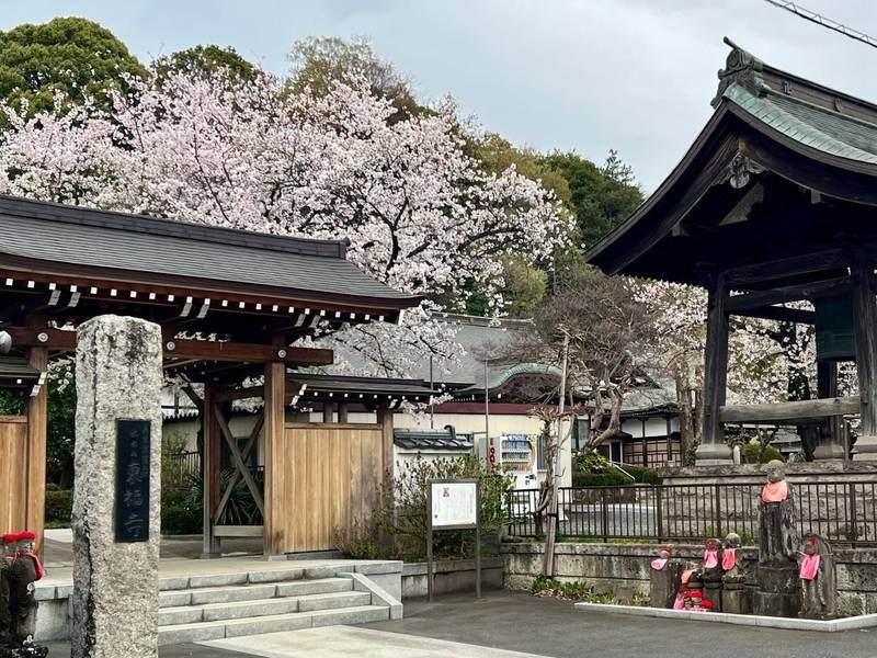 東福寺,埼玉県所沢市本郷７６４