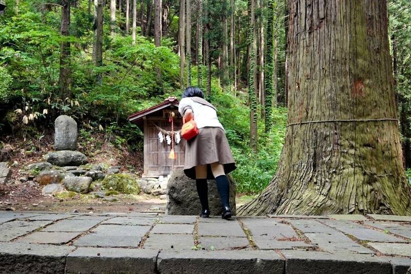 愛宕神社      (山形市小白川町),山形県山形市小白川町1248-5