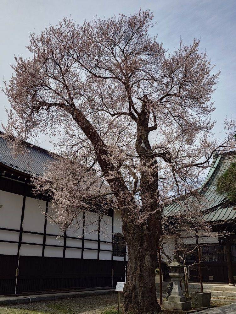 永泉寺,岩手県盛岡市大慈寺町８−２２