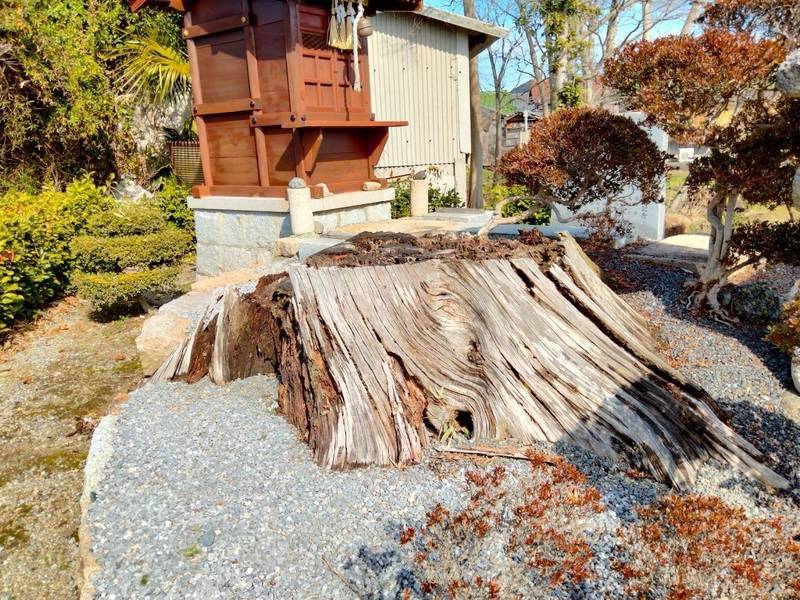 城之神社,滋賀県野洲市比留田