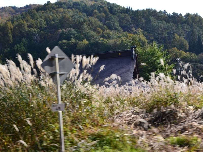 楢谷寺,岐阜県高山市清見町楢谷865