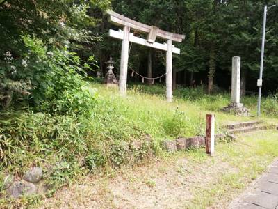 諏訪神社,見どころ,