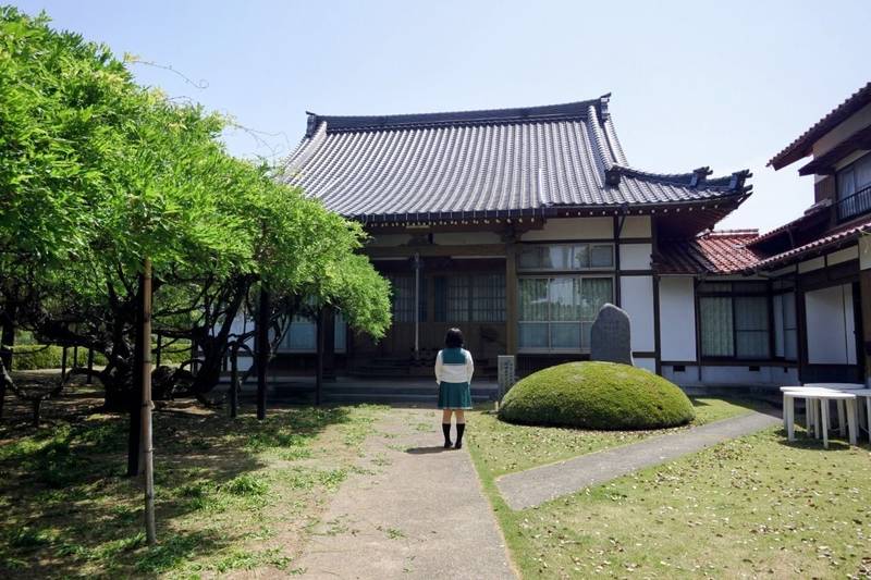 住雲寺    (ふじ寺),鳥取県西伯郡大山町古御堂５１３