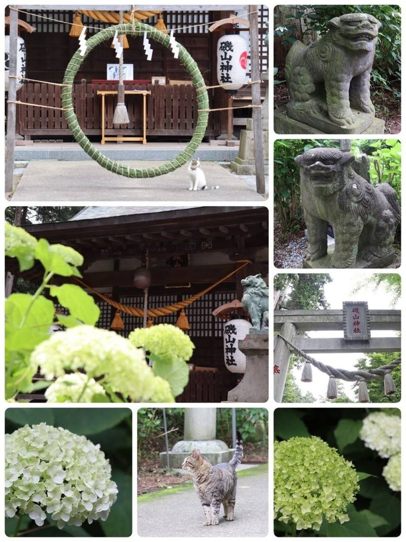 磯山神社 御朱印 鹿沼市 栃木県 Omairi おまいり 磯山神社 御朱印 鹿沼市 栃木県 Omairi おまいり