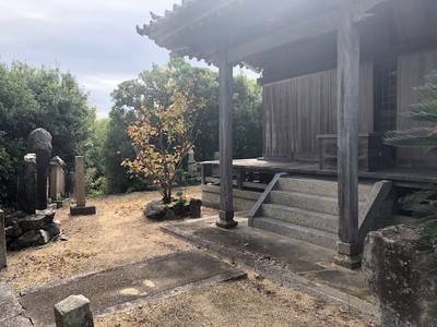龍雲寺,見どころ,タカヒト