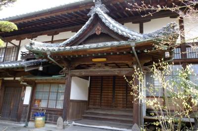 見星寺,見どころ,南向きフクロウ