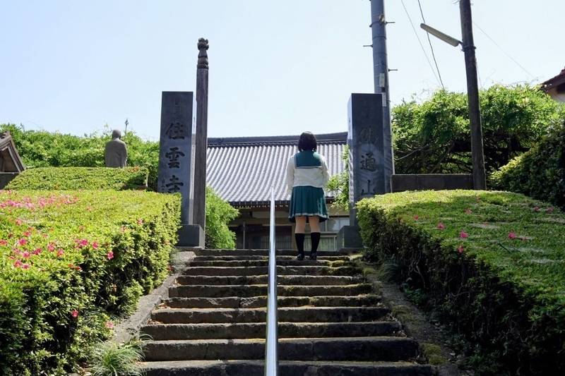 住雲寺    (ふじ寺),鳥取県西伯郡大山町古御堂５１３
