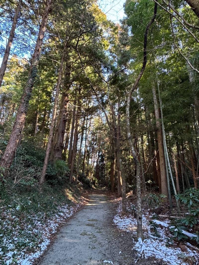 庭渡神社,福島県いわき市四倉町大森字館144-1