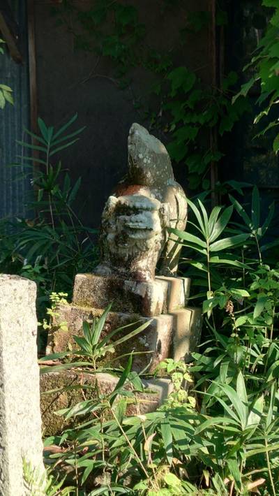 八幡神社  (つるぎ町半田),見どころ,たあ坊