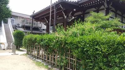 称讃寺,見どころ,にゃーこ
