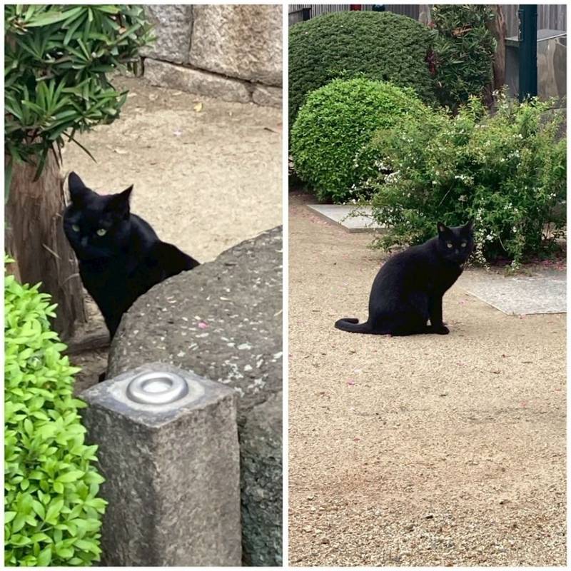 大日寺,大阪府大阪市城東区鴫野東3-31-17
