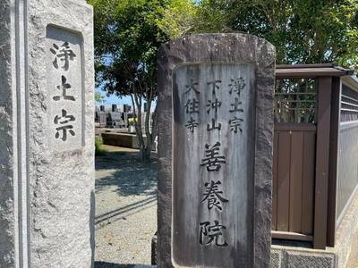 下沖山 善養院,見どころ,you