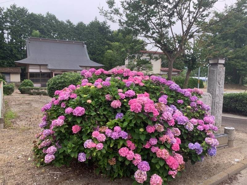 萬福寺,宮城県亘理郡山元町真庭原66