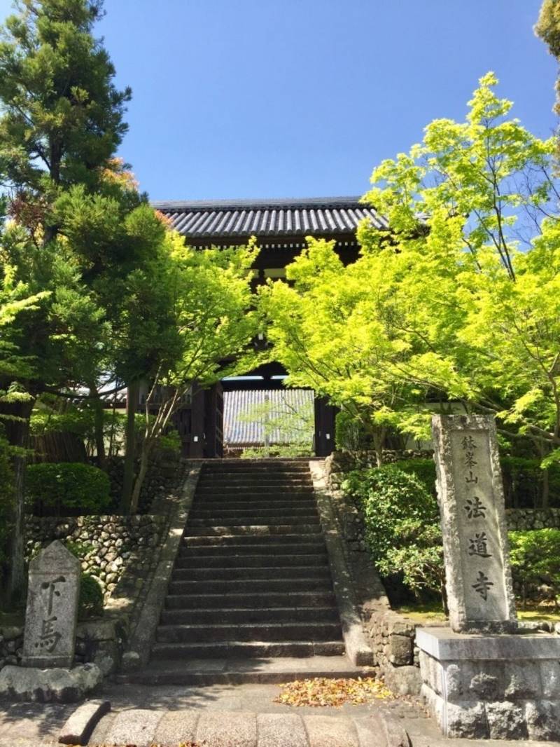 法道寺 御朱印 堺市/大阪府 Omairi(おまいり)