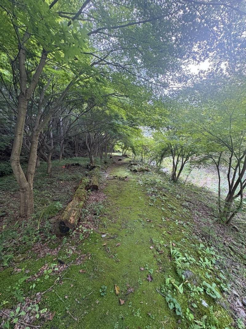 成田山水上寺  (成田山水上不動尊),群馬県利根郡みなかみ町湯原340