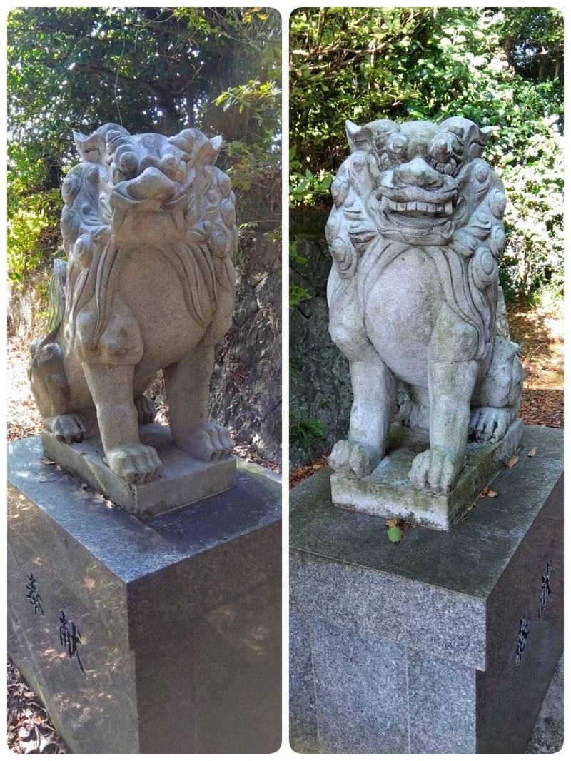 太良戸口神社,佐賀県藤津郡太良町伊福甲2658